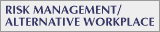 Risk Management nad Alternative Workplace